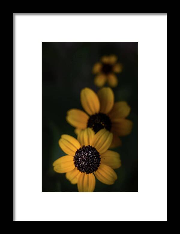 Background Framed Print featuring the photograph All In A Row by Peter Scott