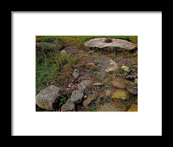 Stones Framed Print featuring the photograph All That Remains by Elizabeth Tillar