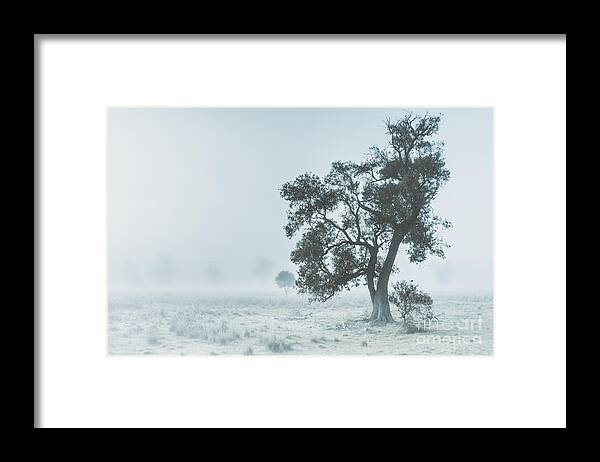 Aleena Framed Print featuring the photograph Alleena winter landscape by Jorgo Photography