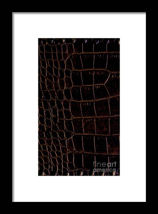 Photo Framed Print featuring the photograph Alligator Look Abstract by Marsha Heiken