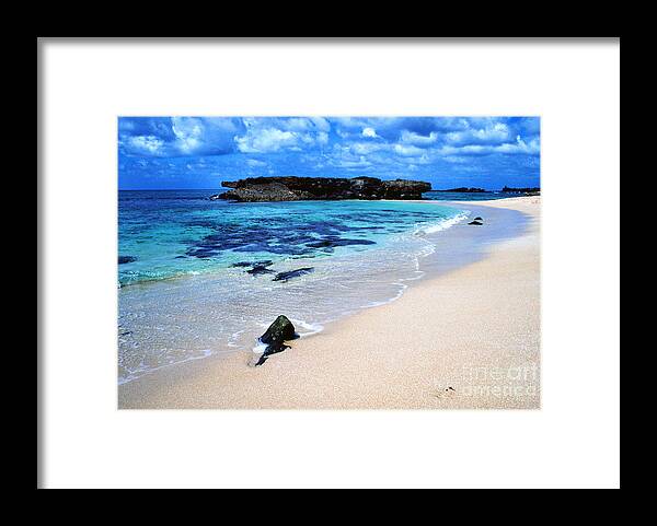 Eroded Lave Formations Framed Print featuring the photograph Alligator Rock North Shore Oahu by Thomas R Fletcher
