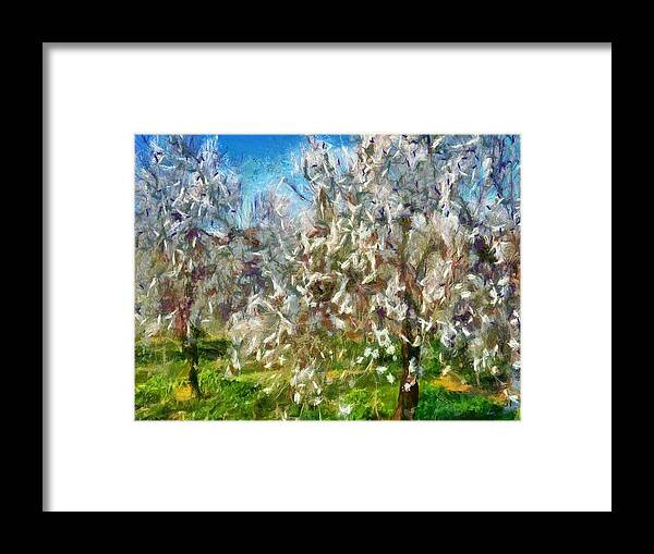 Flower Framed Print featuring the painting Almond Orchard Blossom by Taiche Acrylic Art