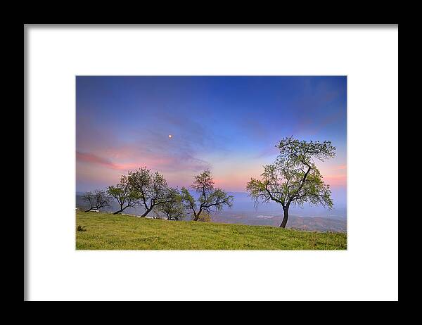 Sunset Framed Print featuring the photograph Almonds and Moon by Guido Montanes Castillo