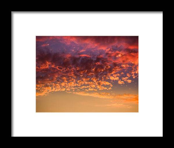 California Framed Print featuring the photograph Almost Autumn by Pamela Newcomb
