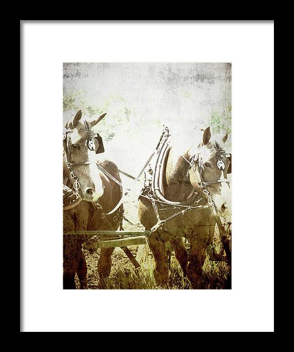 Horse Framed Print featuring the photograph Almost Quitting Time by Char Szabo-Perricelli