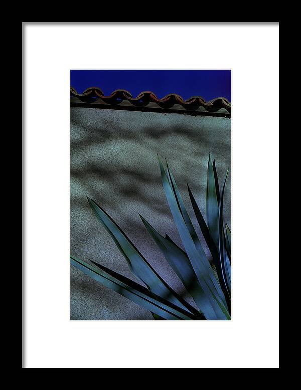 Aloe Vera Framed Print featuring the photograph Aloe Cool by Mark Fuller