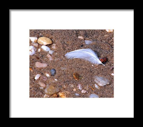 Nature Framed Print featuring the photograph Alone Among Strangers by Lynda Lehmann