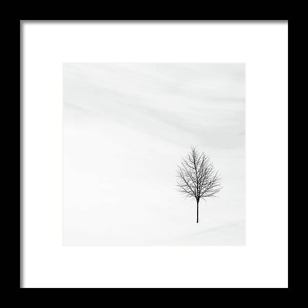 Winter Framed Print featuring the photograph Alone in the Storm by Andrea Kollo