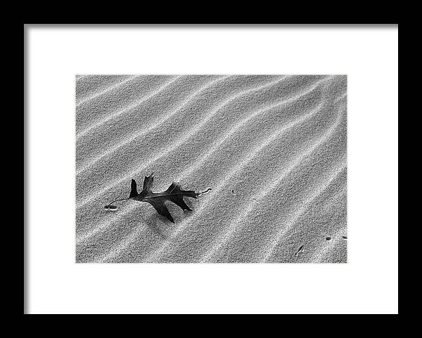 Leaf Framed Print featuring the photograph Alone by Kathi Mirto
