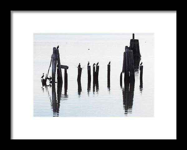 Washington Framed Print featuring the photograph Along D.C's Coast by Mark Mitchell