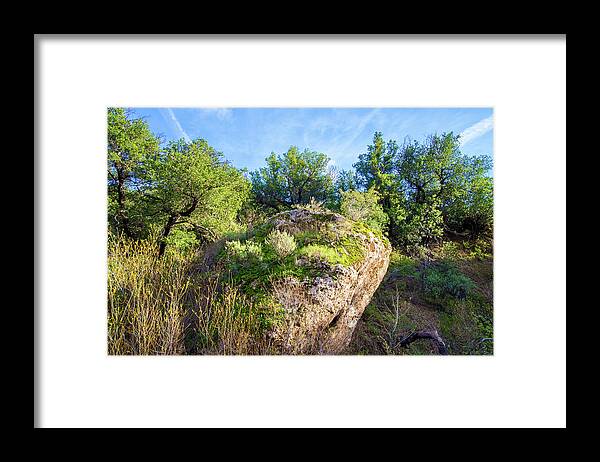 Spring Framed Print featuring the photograph Along the Las Llajas Trail in Spring by Lynn Bauer