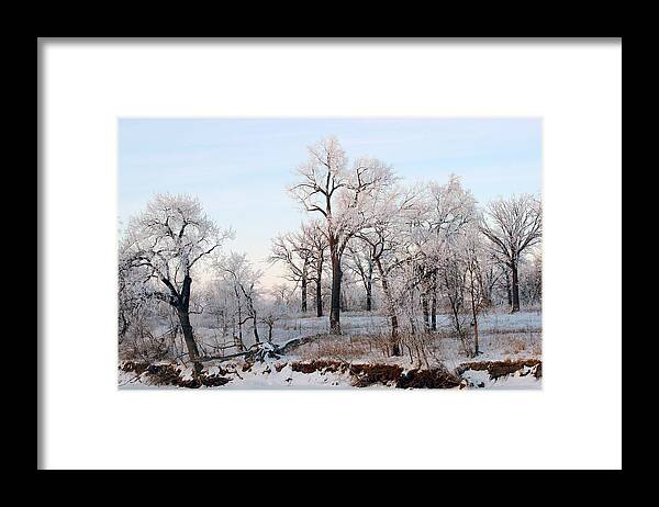 Frost Framed Print featuring the painting Along the River by Steve Augustin