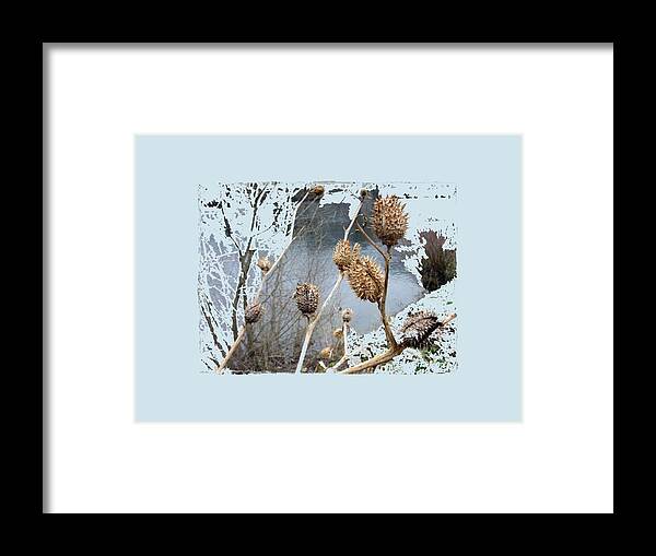  Framed Print featuring the photograph Along The River by Vesna Martinjak