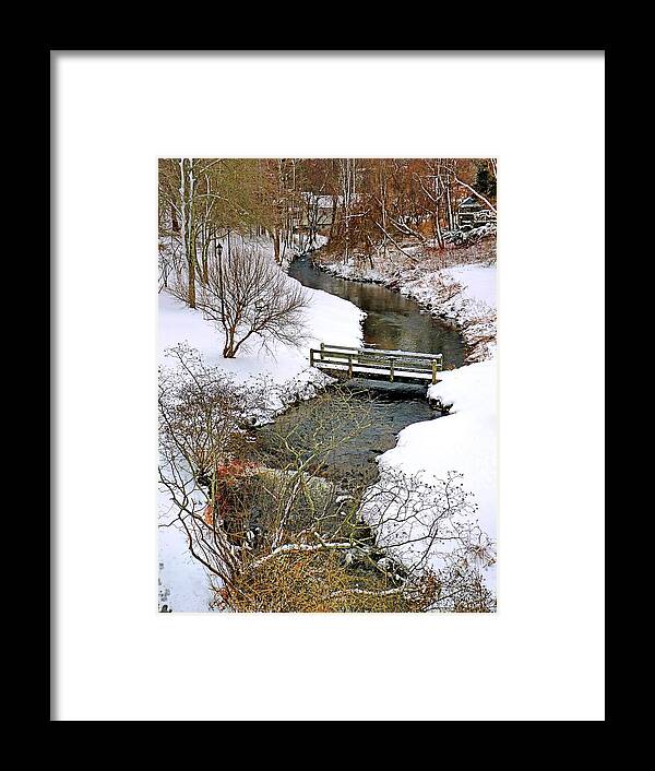 Town Brook Framed Print featuring the photograph Along Town Brook Plymouth MA by Janice Drew