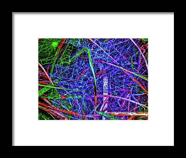 Web Framed Print featuring the photograph Amazing Invisible Web by Gina O'Brien