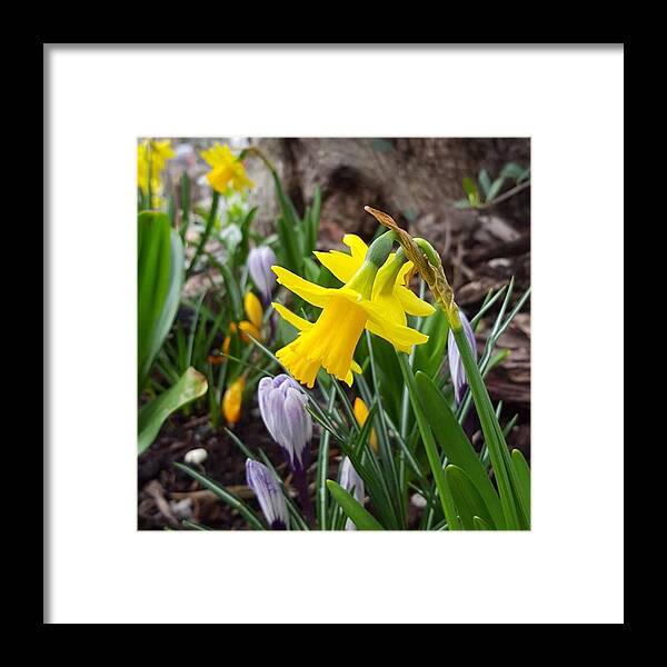 Flowers Framed Print featuring the photograph Amazing Spring Day Today, How Was It by Dante Harker