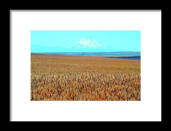 Beautiful Framed Print featuring the photograph Amber Waves of Grain by Brian O'Kelly