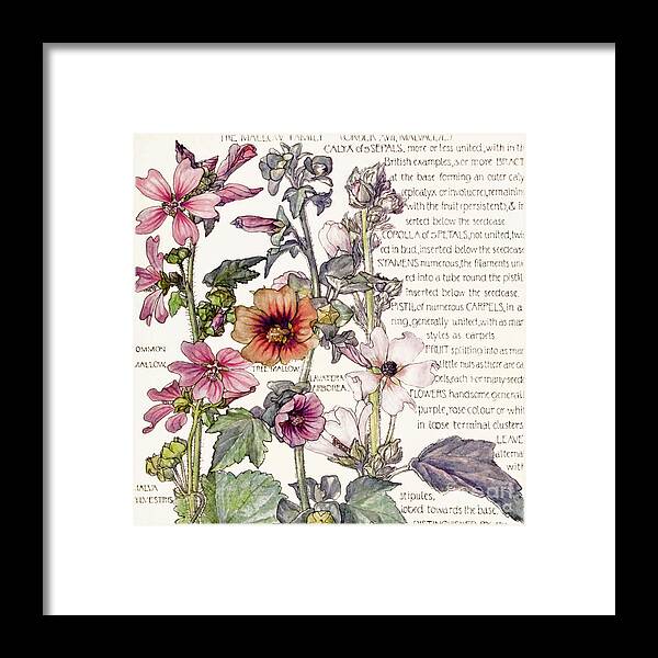 Flowers Framed Print featuring the painting Ambrosia IV by Mindy Sommers