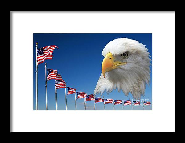 Usa Framed Print featuring the photograph America by Richard Lynch