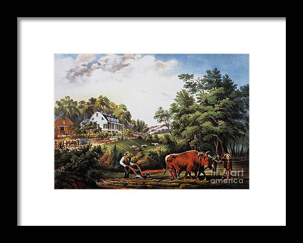 1853 Framed Print featuring the photograph American Farm Scene, 1853 by Granger