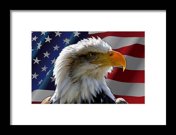 Stars And Stripes Framed Print featuring the photograph America by Andy Myatt