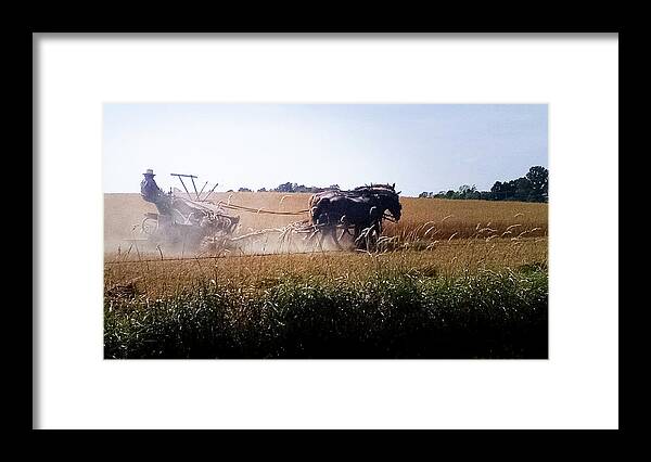 Amish Framed Print featuring the photograph Amish Harvest by George Harth