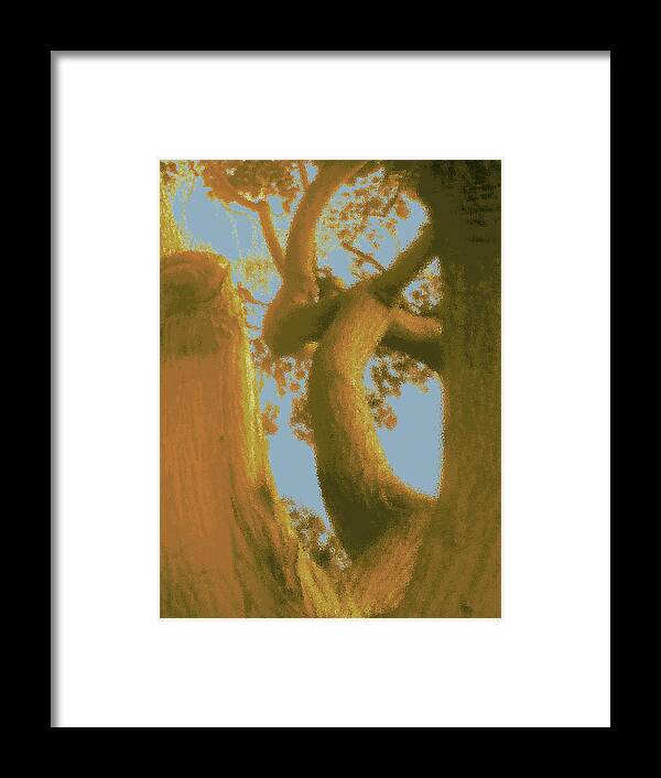 Tree Framed Print featuring the photograph Among the Trees by Alison Stein