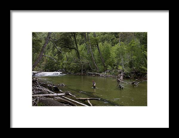 Patagonia Framed Print featuring the photograph Amongst the Sticks by Julian Wicksteed
