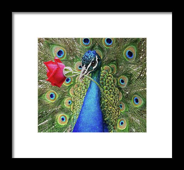 Peafowl Framed Print featuring the photograph Amore by Art Cole