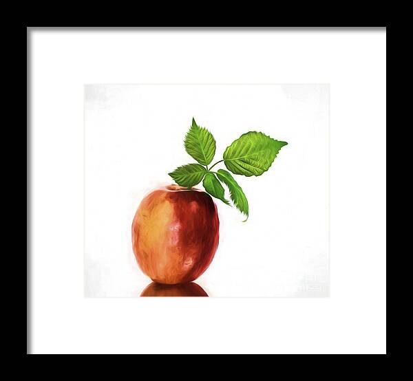 Fruit Framed Print featuring the photograph An Apple a Day by Shirley Mangini