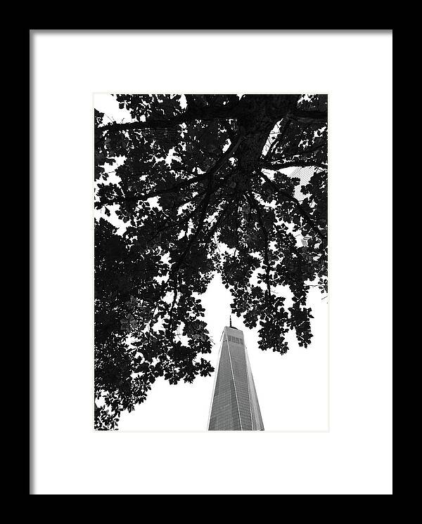 One Framed Print featuring the photograph An Architect's Poem by Peter Hull