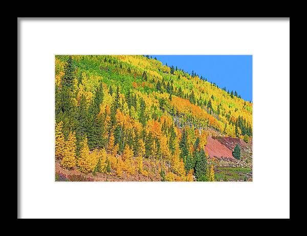 Fall Colors Framed Print featuring the photograph An Aspen-lined Declivity by Bijan Pirnia