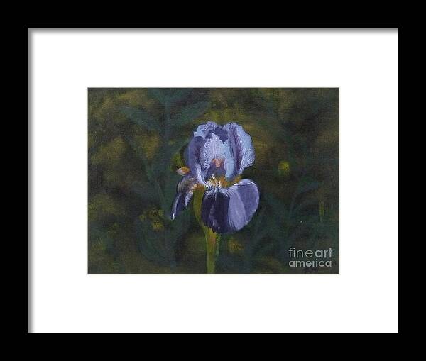  Framed Print featuring the painting An Iris in My Garden by Barrie Stark