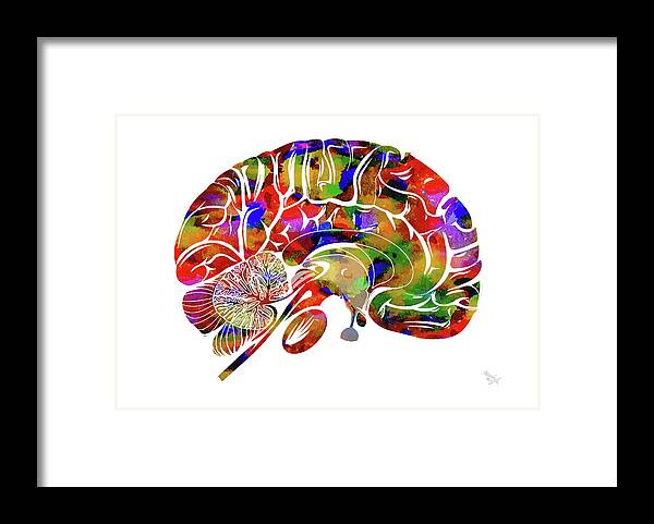 Brain Art Framed Print featuring the mixed media Anatomical Brain by Ann Leech