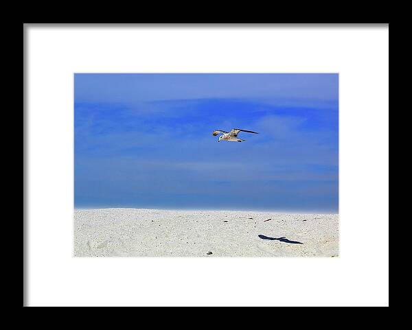 Seagull Framed Print featuring the photograph Ancient Mariner by Marie Hicks