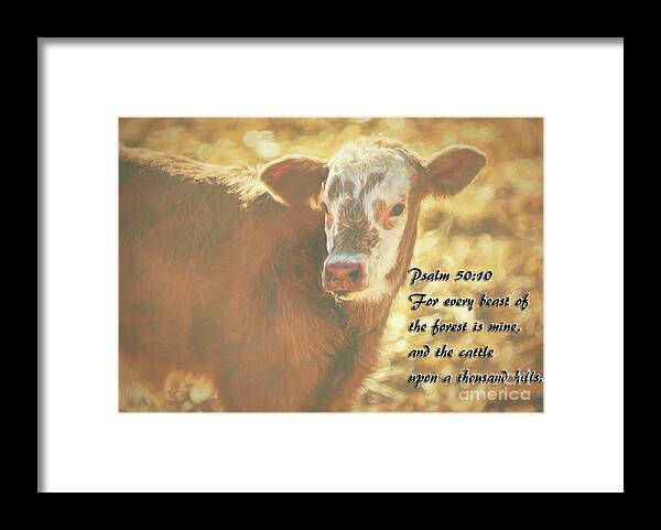 Cow Framed Print featuring the photograph And The Cattle by Janice Pariza