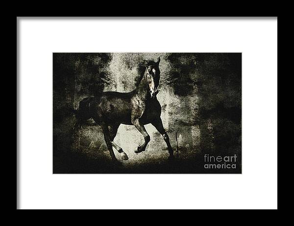  Painting Framed Print featuring the drawing Andalusian horse by Dimitar Hristov