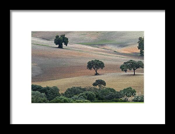 Landscape Framed Print featuring the photograph Andalusian Landscape by Heiko Koehrer-Wagner