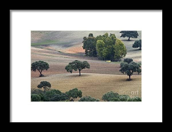 Landscape Framed Print featuring the photograph Andalusian Meadows 1 by Heiko Koehrer-Wagner