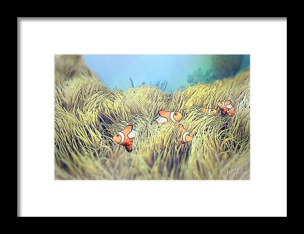 Clownfish Framed Print featuring the photograph Anemone Clownfish by Russ Harris