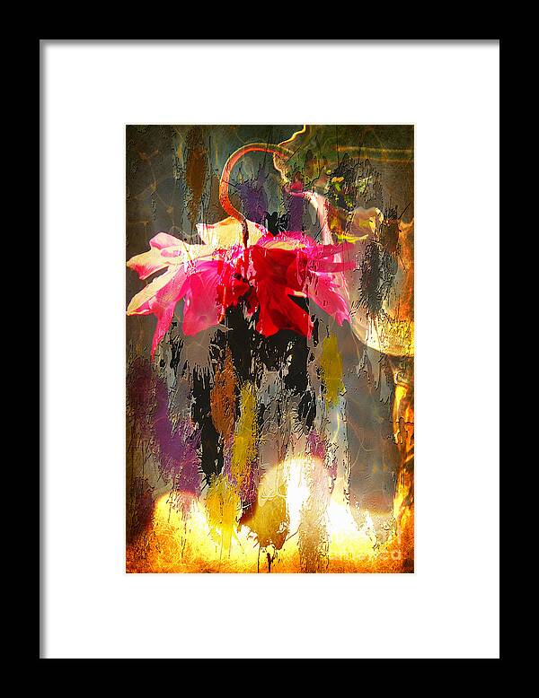 Anemone Framed Print featuring the photograph Anemone Monday by Jolanta Anna Karolska