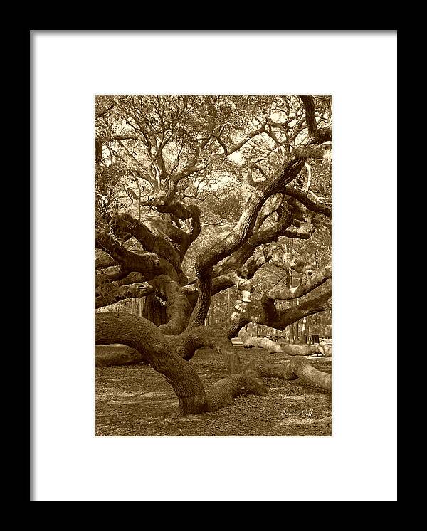 Sepia Framed Print featuring the photograph Angel Oak in Sepia by Suzanne Gaff