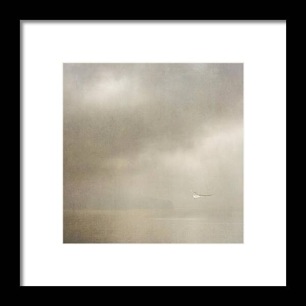 Coastal Framed Print featuring the photograph Angel by Sally Banfill