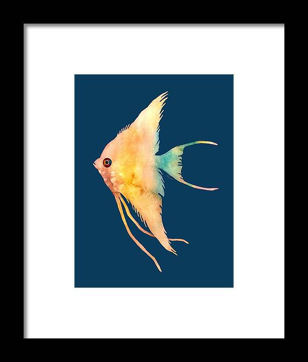 Fish Framed Print featuring the painting Angelfish II - solid background by Hailey E Herrera