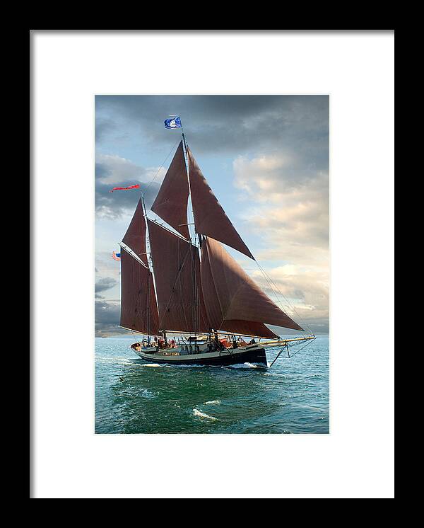 Windjammer Framed Print featuring the photograph Angelique by Fred LeBlanc