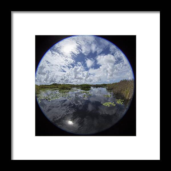 Fisheye Framed Print featuring the photograph Anhinga Trail 86 by Michael Fryd