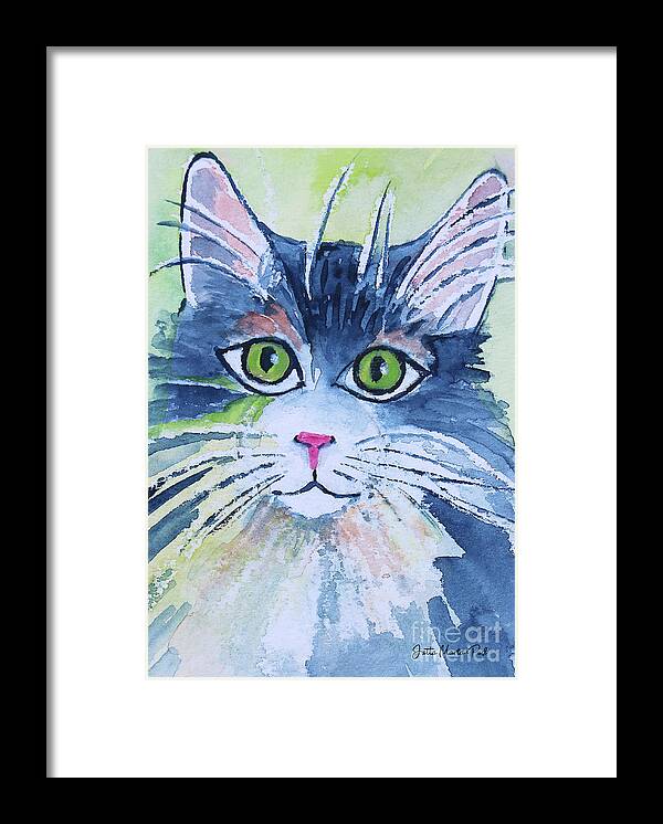Paint Framed Print featuring the painting Another Cat by Jutta Maria Pusl