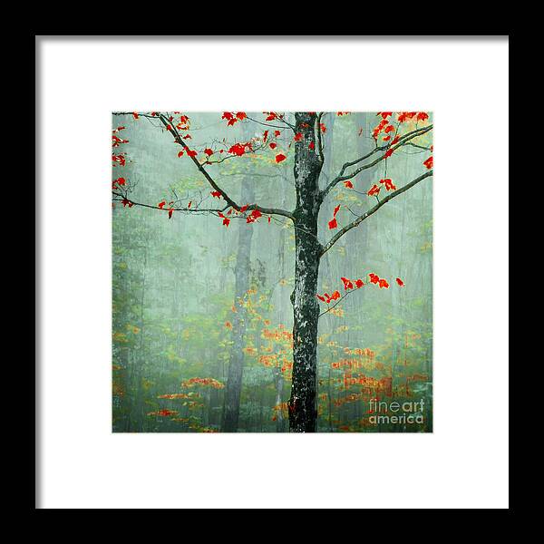 Tree Framed Print featuring the photograph Another Day Another Fairytale by Katya Horner