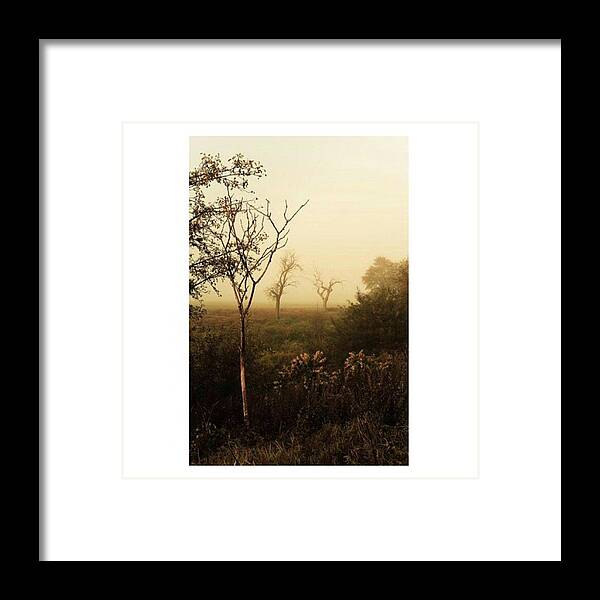 Thuringia Framed Print featuring the photograph Another Morning

#autumn #morning by Mandy Tabatt
