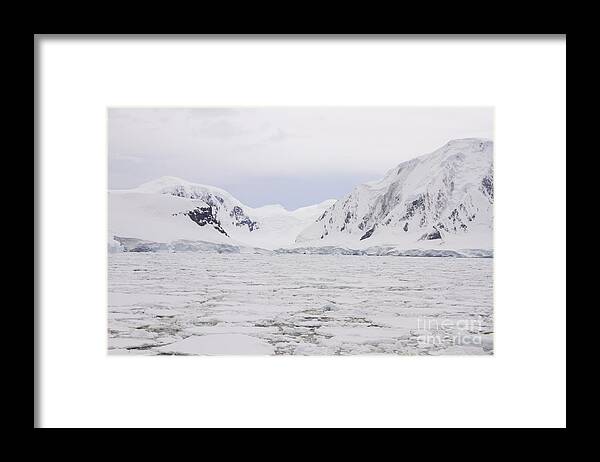 Antarctic Framed Print featuring the photograph Antarctic coast with glaciers and field of pack ice by Karen Foley